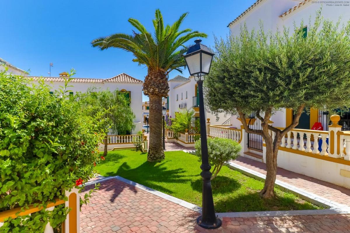 Casa Micha Lejlighed Torrevieja Eksteriør billede
