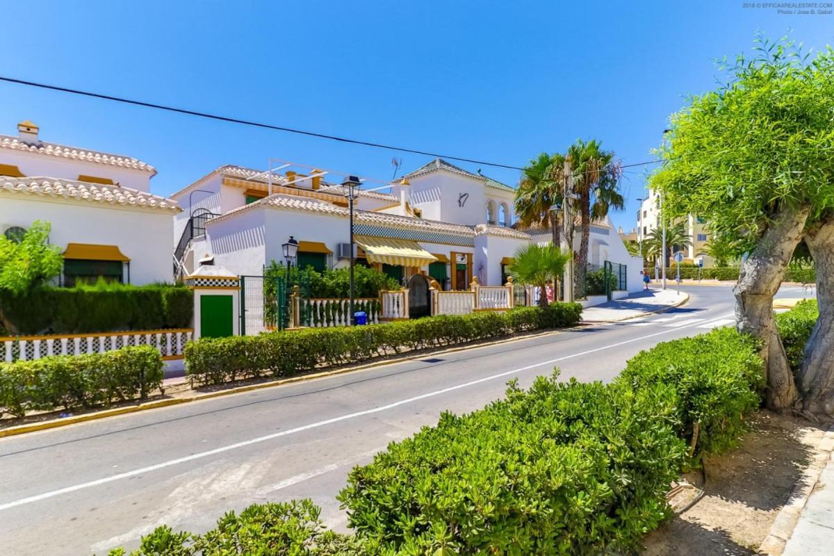 Casa Micha Lejlighed Torrevieja Eksteriør billede