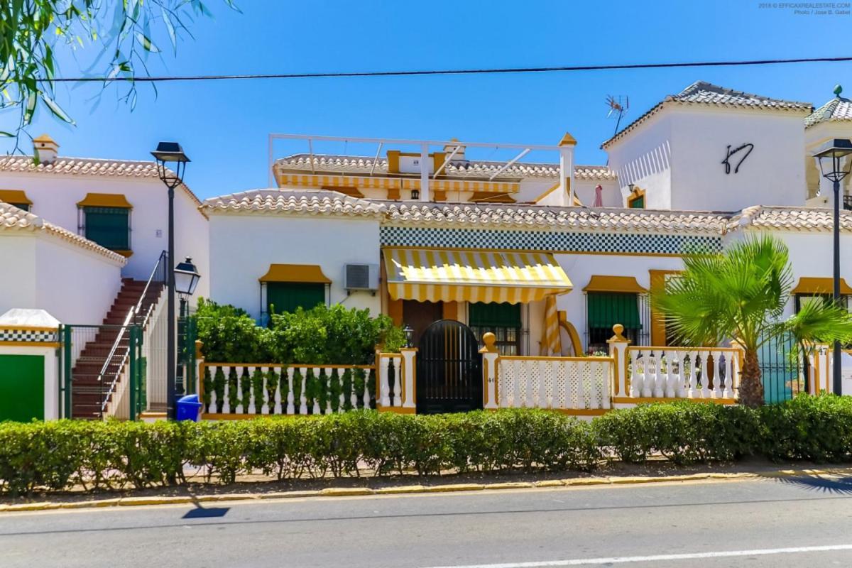 Casa Micha Lejlighed Torrevieja Eksteriør billede